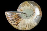 Wide Polished Ammonite Dish - Inlaid Ammonite #117481-1